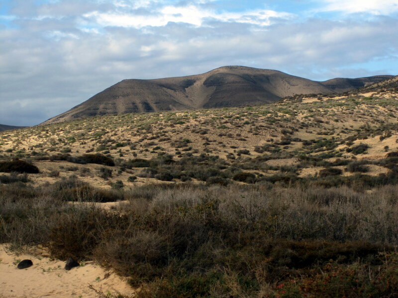 Arid Hills with Shrubs