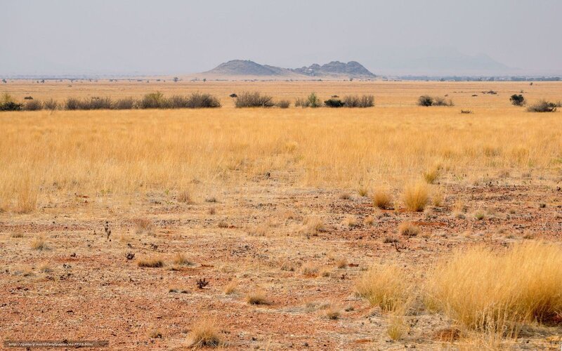 arid savanna landscape