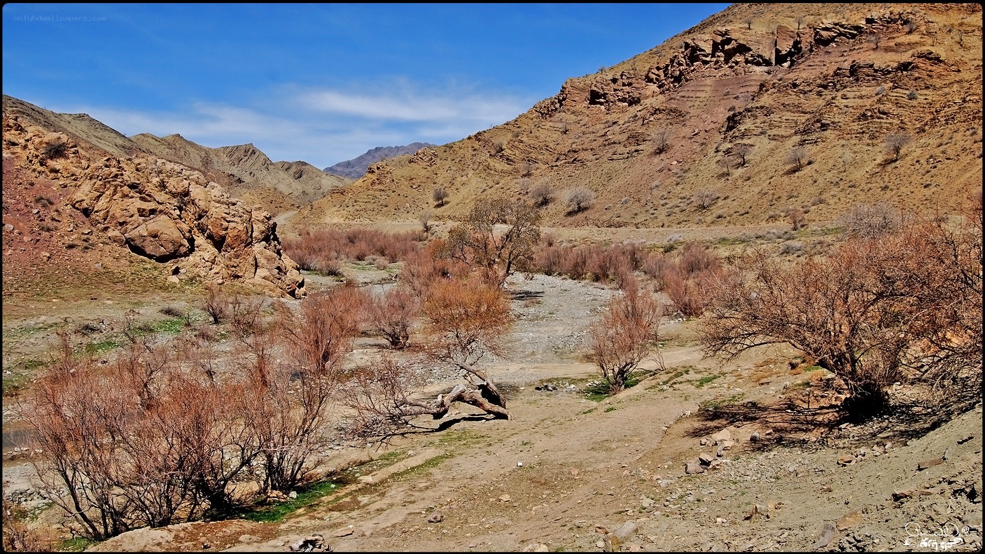 arid valley with rocky hills