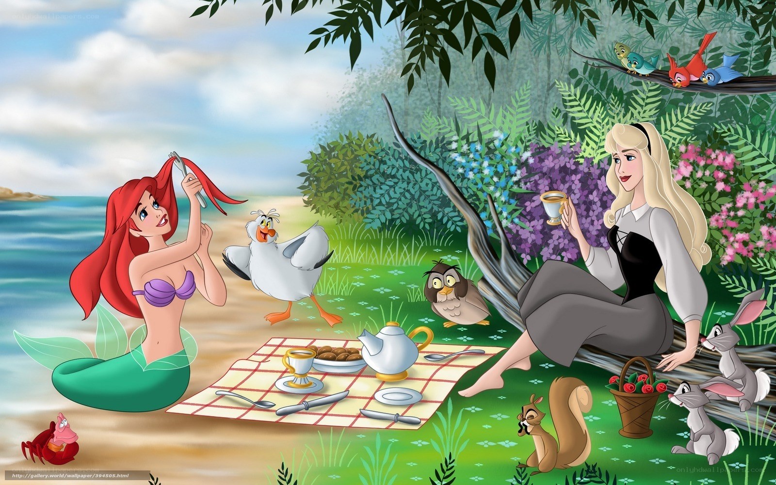 Ariel and Aurora picnic