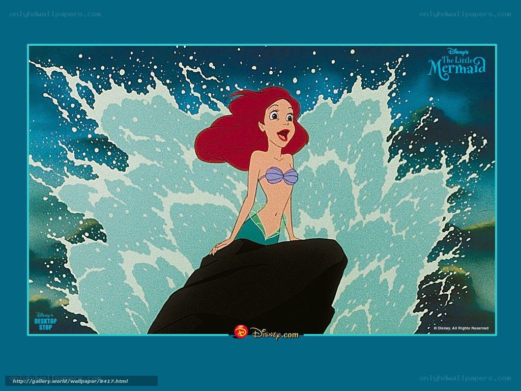 Ariel on a rock by the sea
