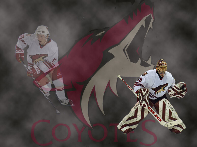 Arizona Coyotes hockey players