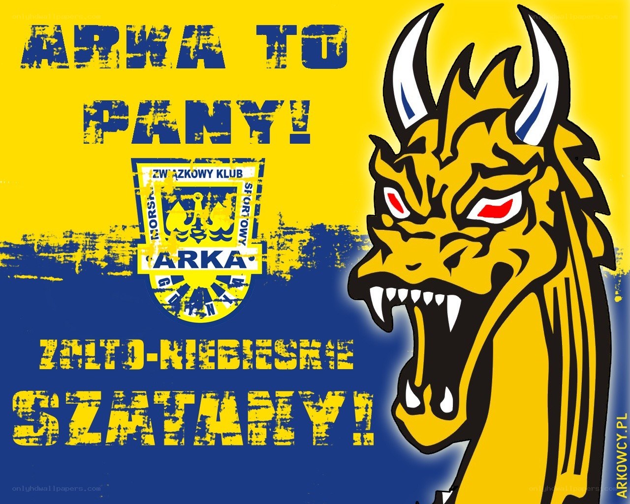 Arka Pany Dragon Logo