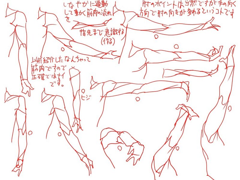 arm anatomy study sketches