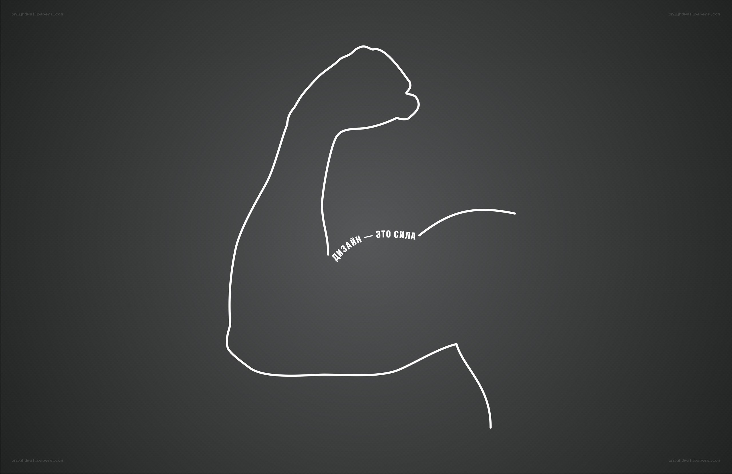 arm muscle design