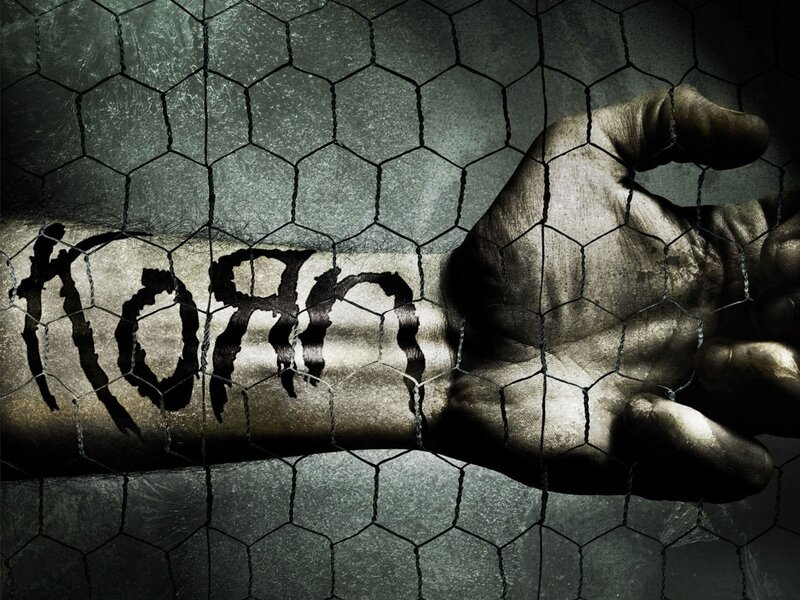 Arm with Tattoo Behind Wire Mesh