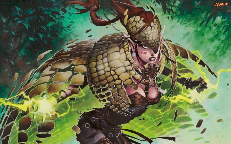 Armadillo Cloak artwork