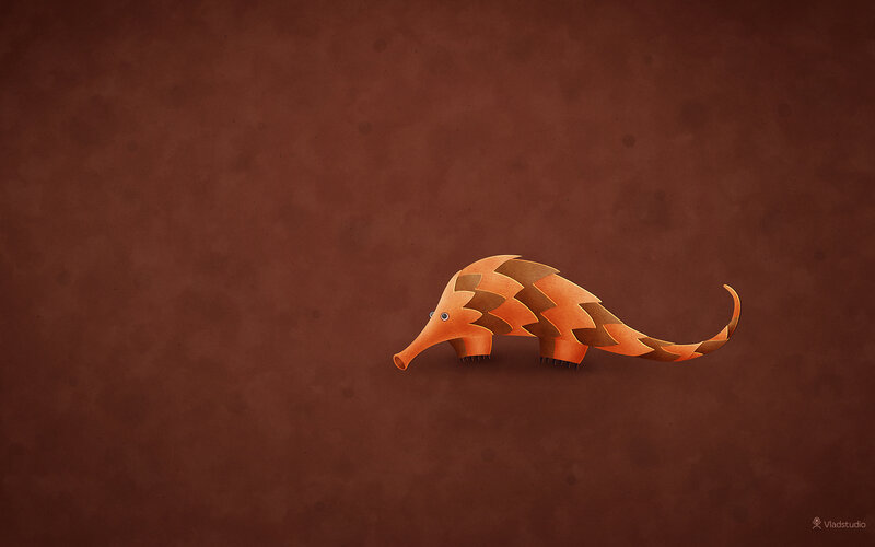 Armadillo Illustration