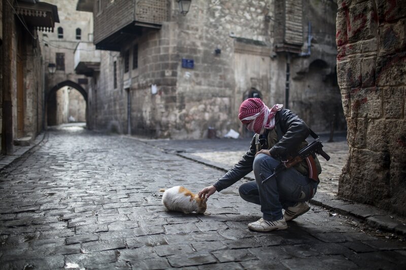 Armed Man Petting Cat — Gray