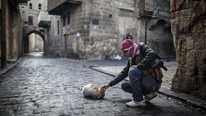 Armed Man Petting Cat