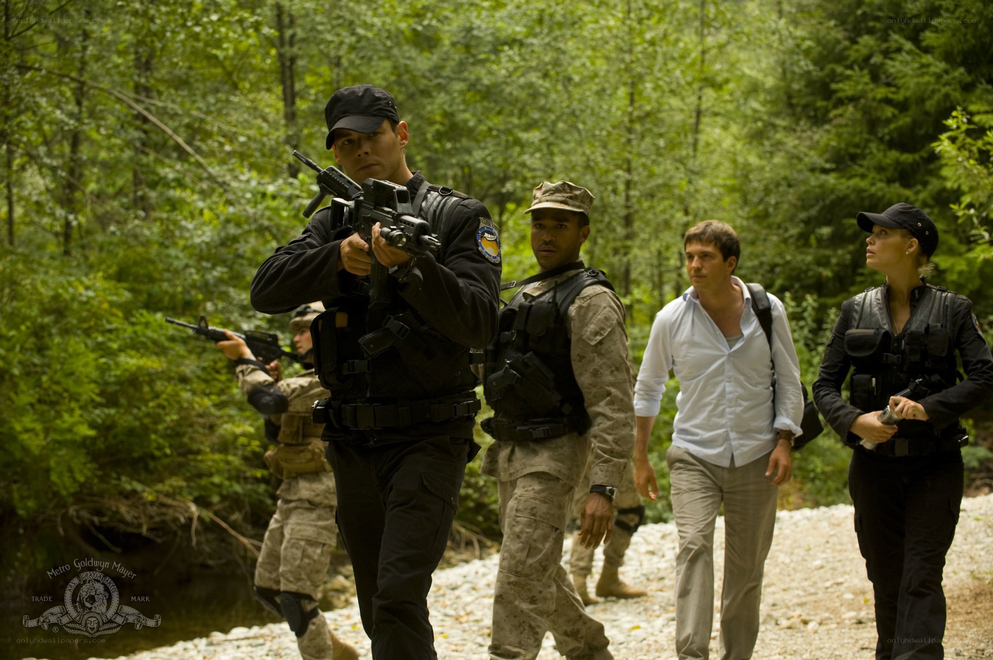 armed team in forest