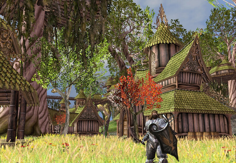 Armored Character in Field