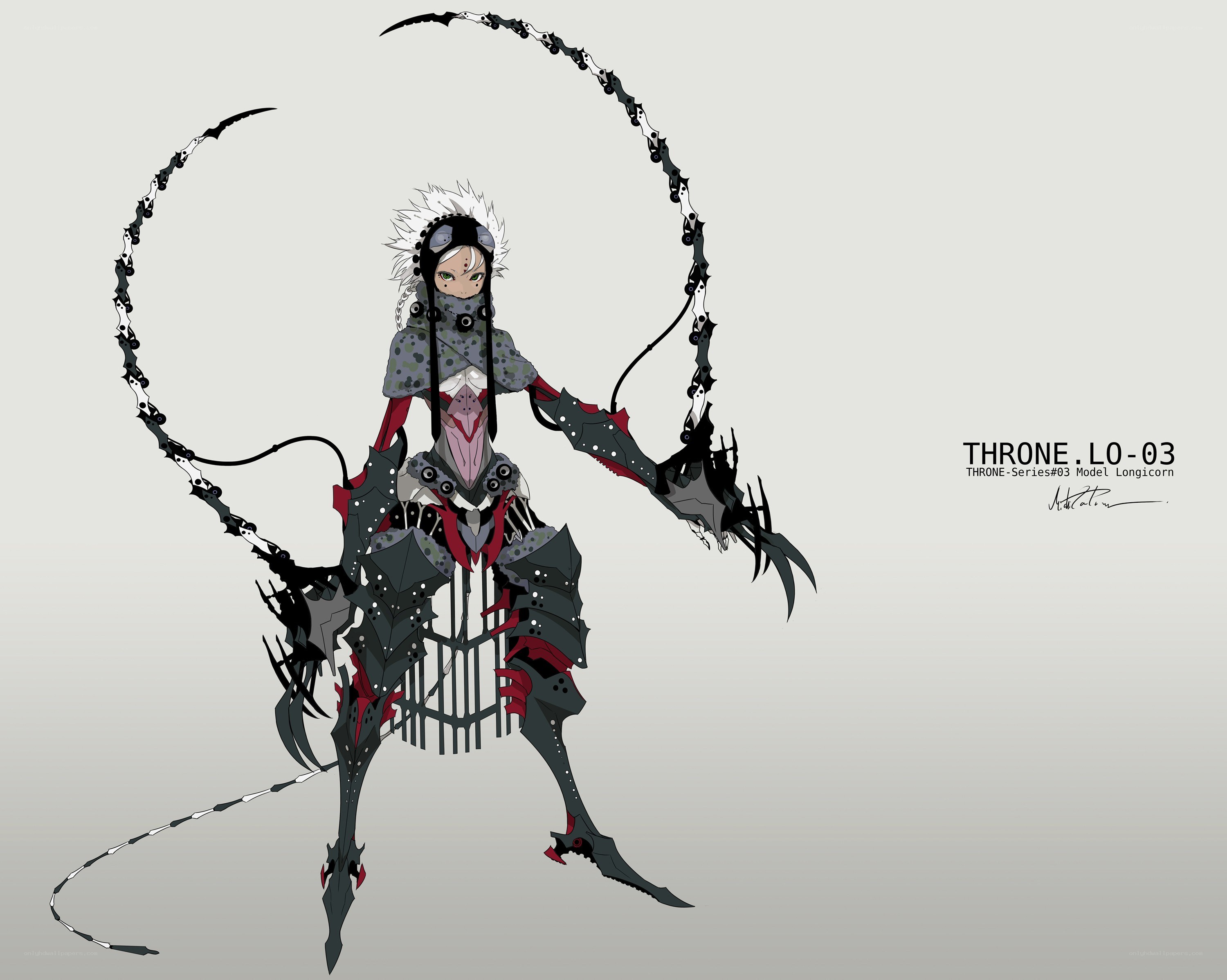 Armored fantasy warrior concept