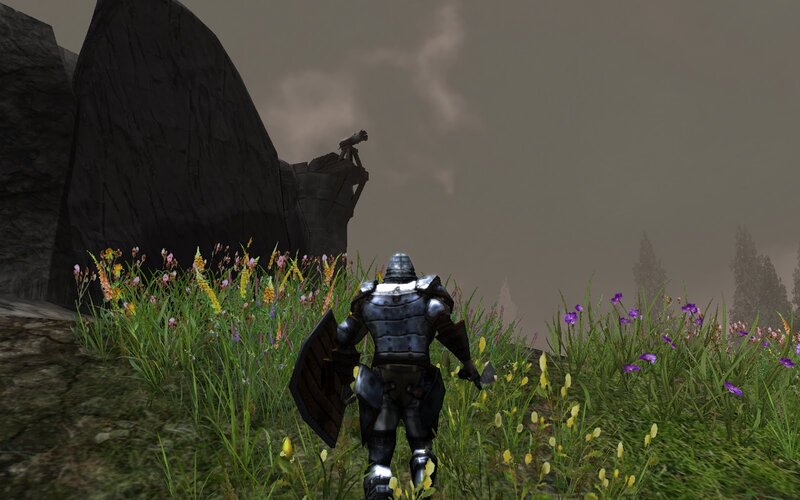 Armored Knight in Field