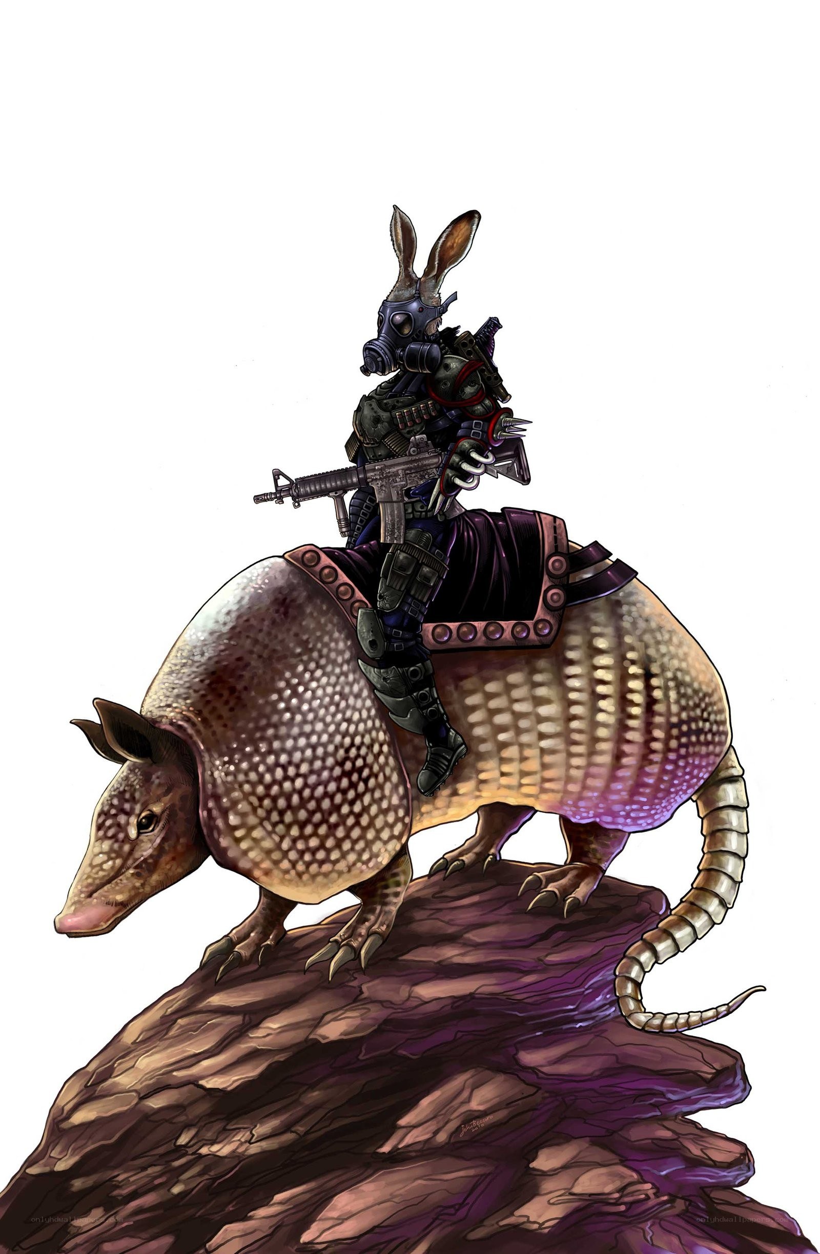 armored rabbit on armadillo