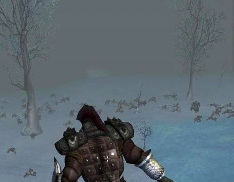 Armored Warrior in Snow — Gray