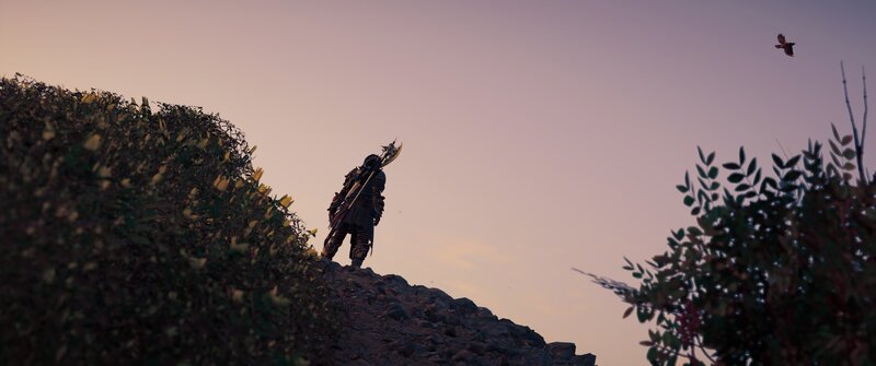 Armored Warrior on Hill