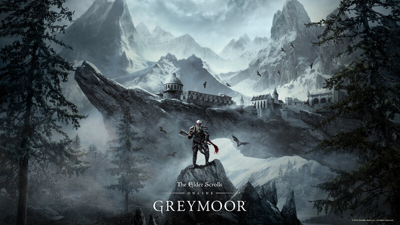 Armored Warrior on Rock — Grey