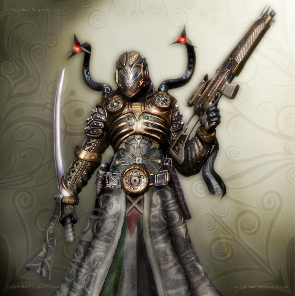 armored warrior with dual weapons