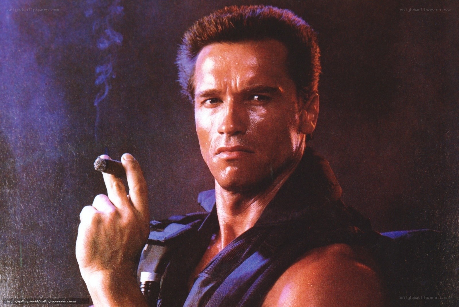 Arnold Schwarzenegger as Terminator