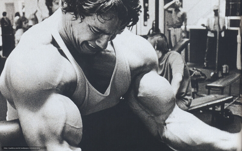 Arnold Schwarzenegger bodybuilding
