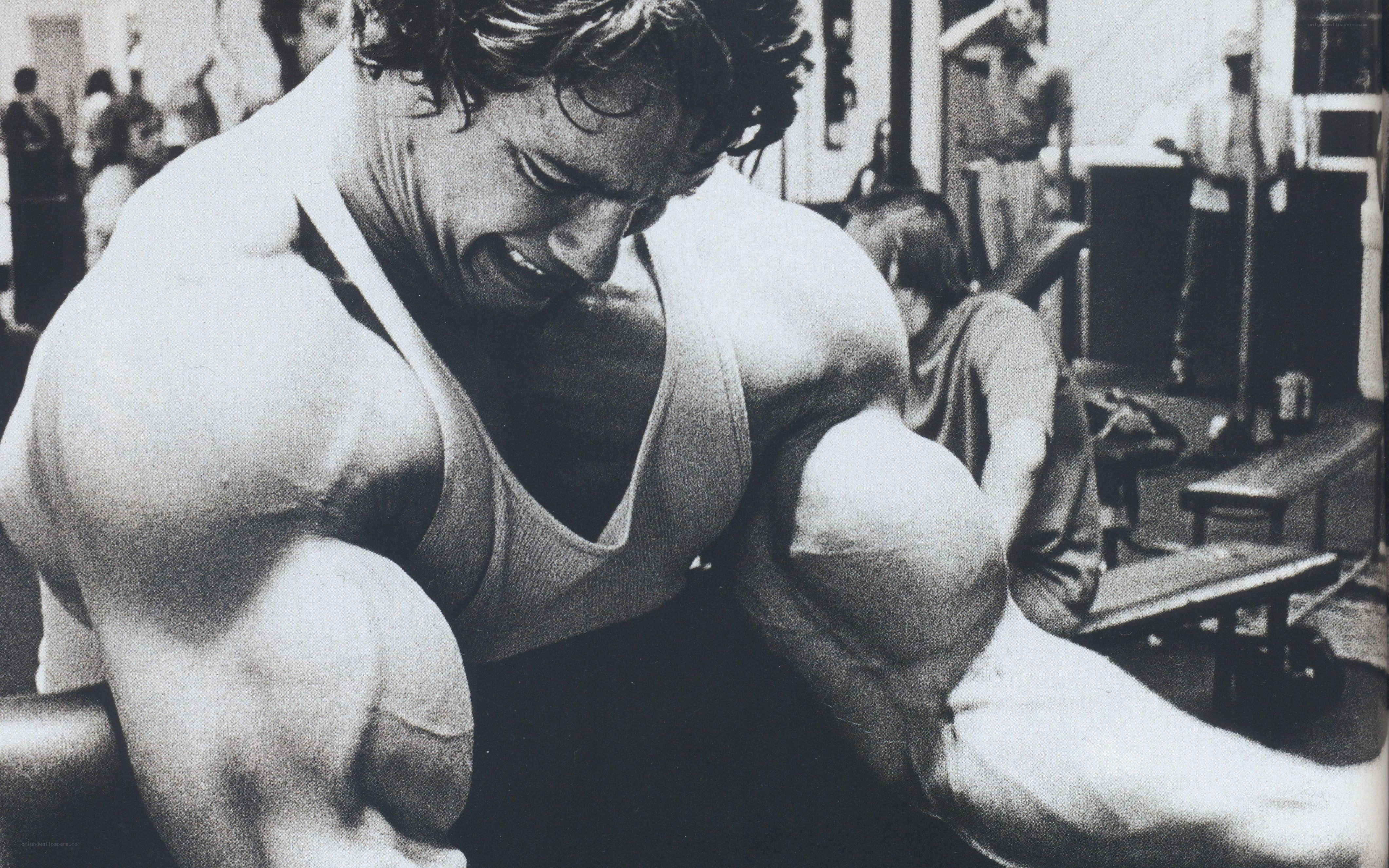 Arnold Schwarzenegger flexing in gym
