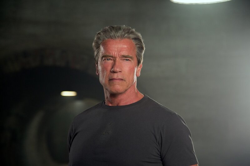 Arnold Schwarzenegger — Gray