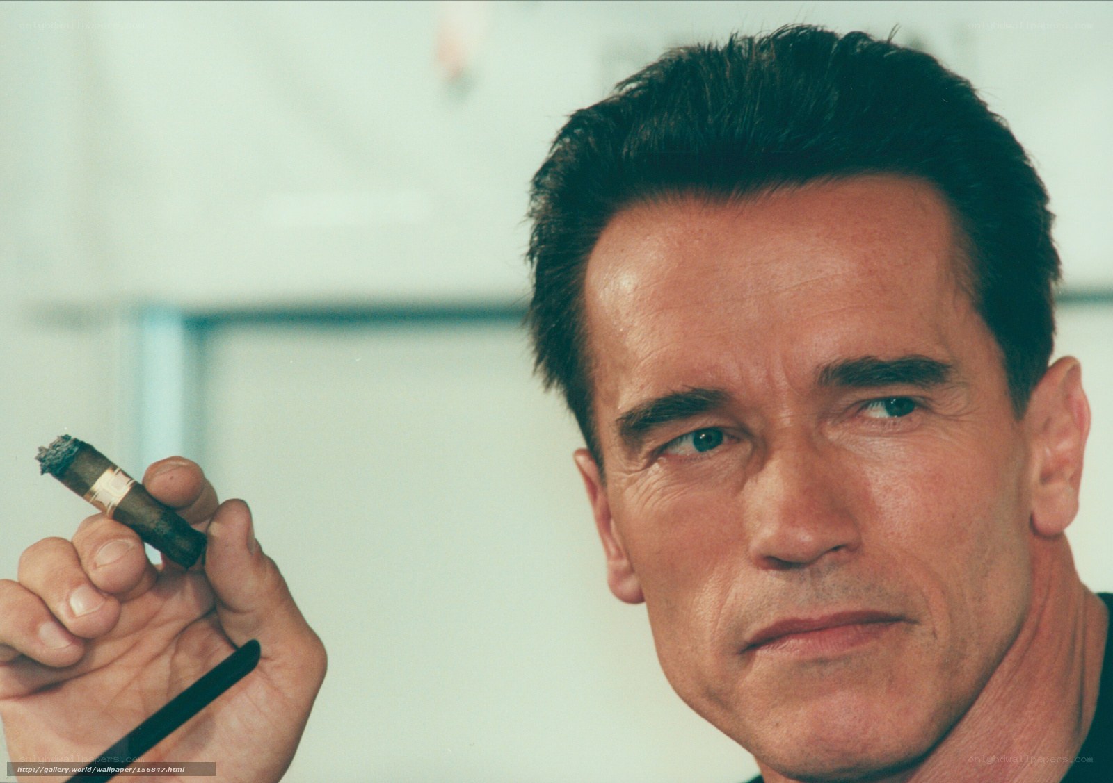 Arnold Schwarzenegger holding cigar