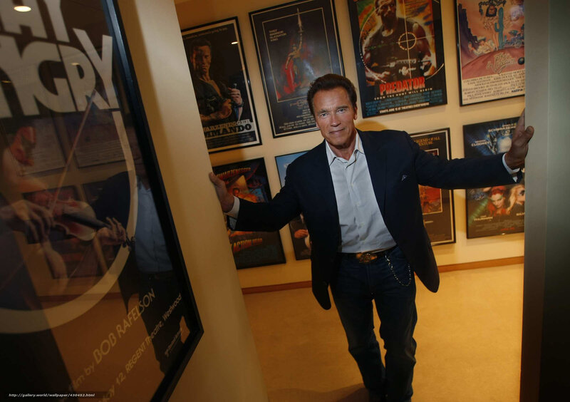 Arnold Schwarzenegger in a gallery
