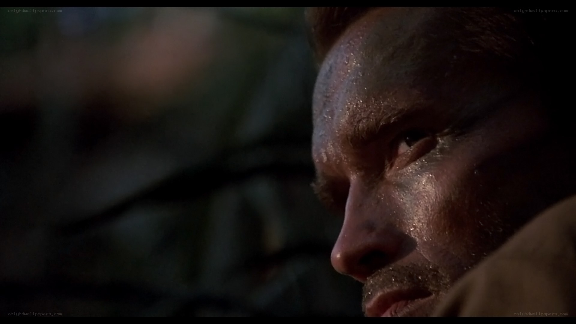Arnold Schwarzenegger in close-up