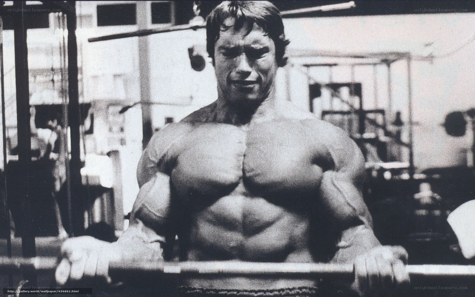 Arnold Schwarzenegger in gym