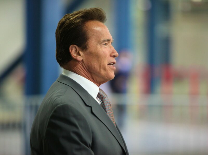 Arnold Schwarzenegger in profile