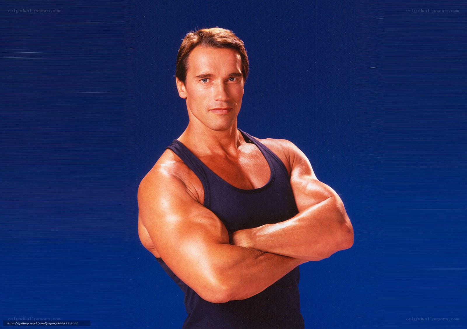 Arnold Schwarzenegger in tank top