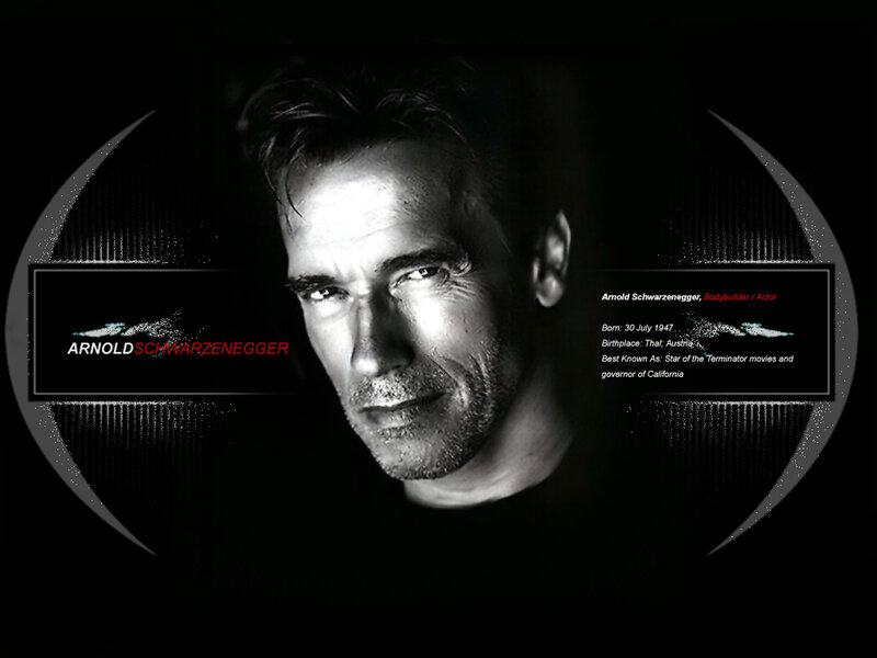 Arnold Schwarzenegger portrait