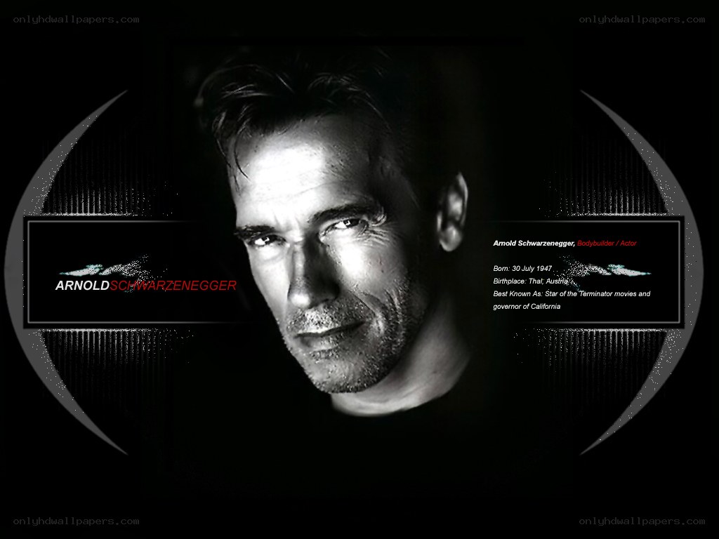 Arnold Schwarzenegger portrait