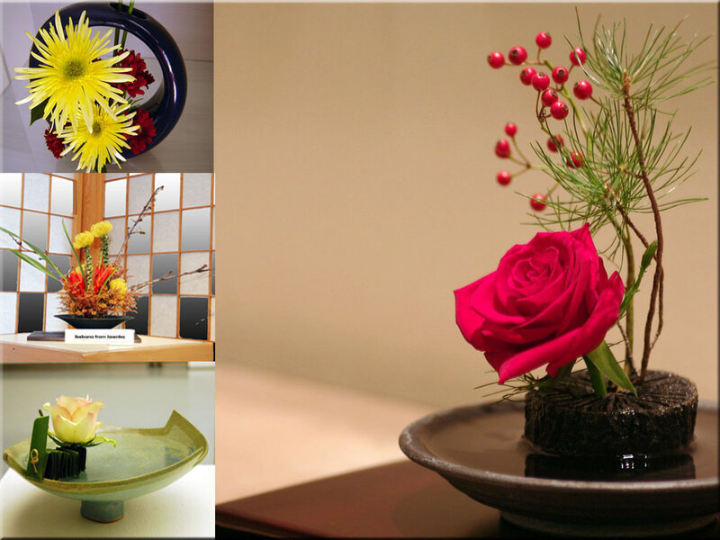Arrangement of Flowers