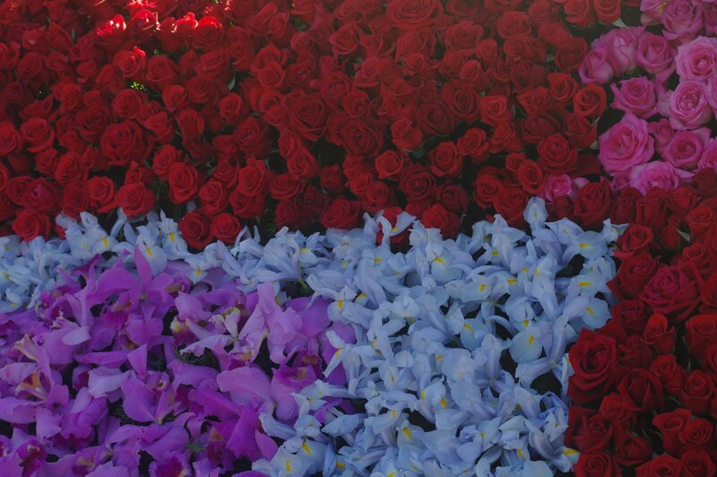 Arrangement of Roses and Irises