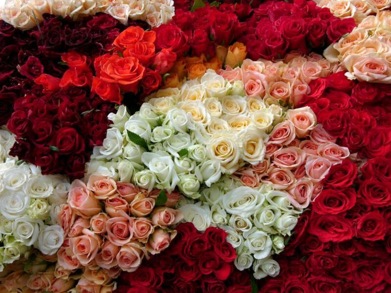 Arrangement of Roses