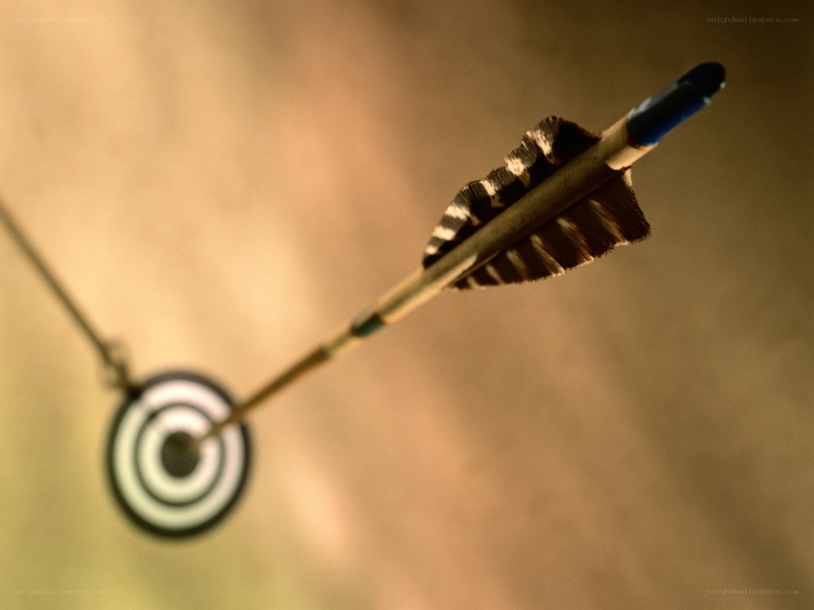 Arrow hitting target center