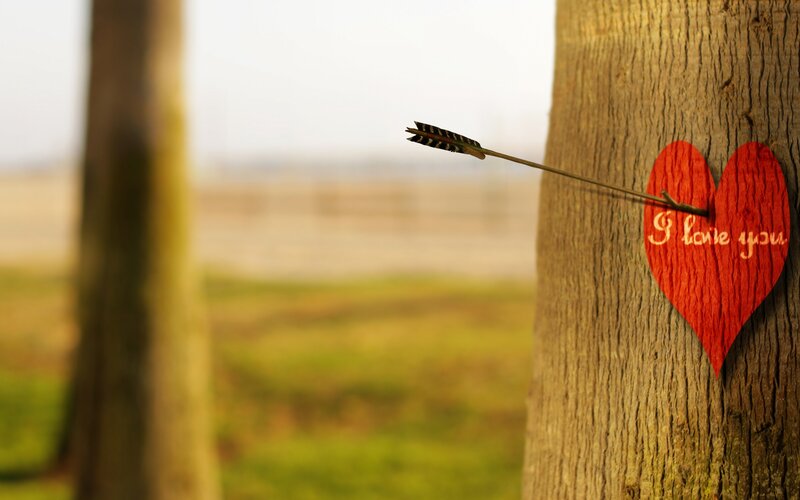 Arrow in Heart Target — Brown