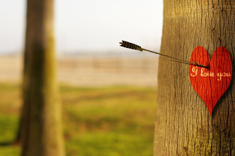 Arrow in Heart Target