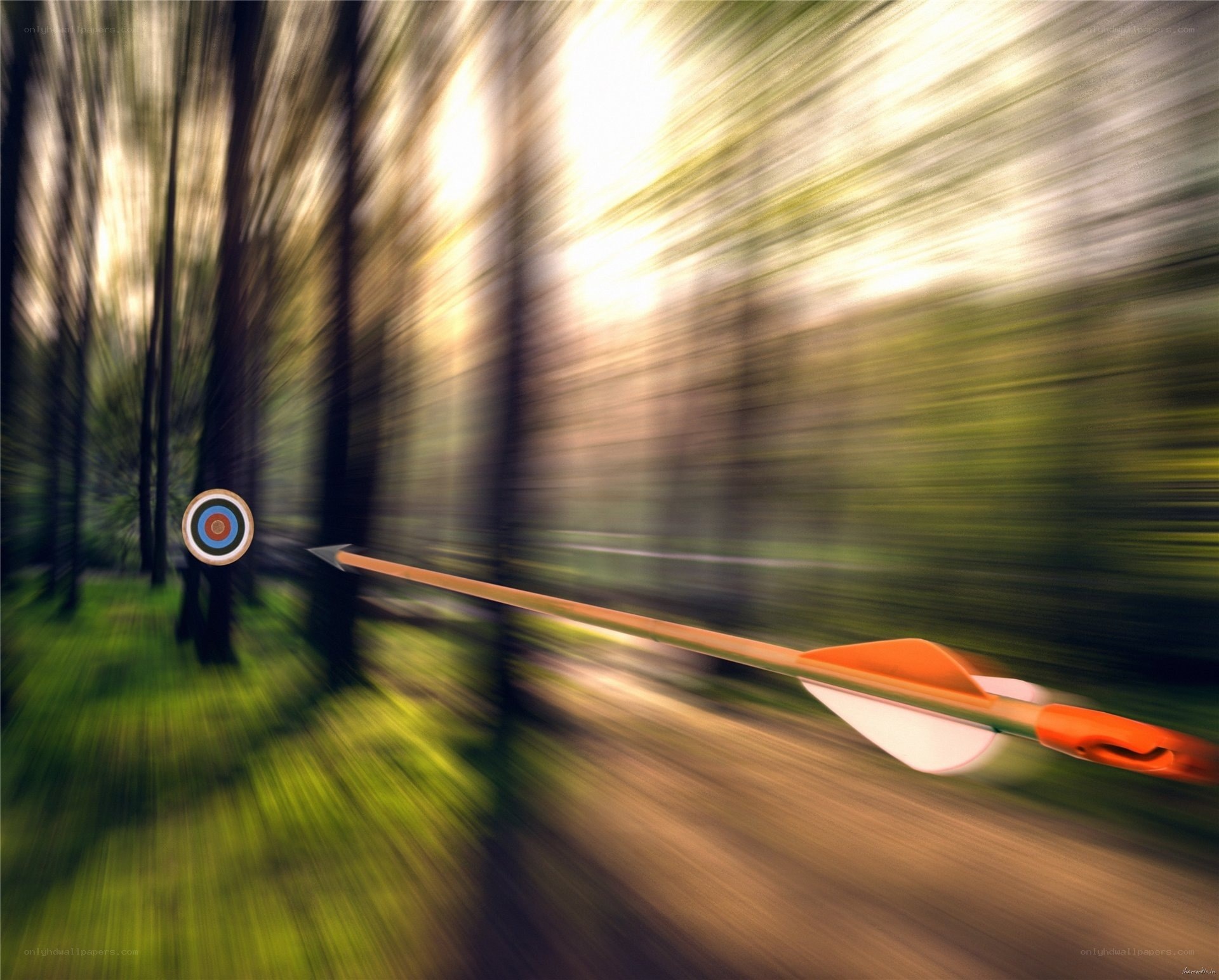 Arrow in motion through forest