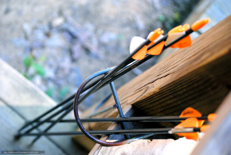 arrows in a quiver