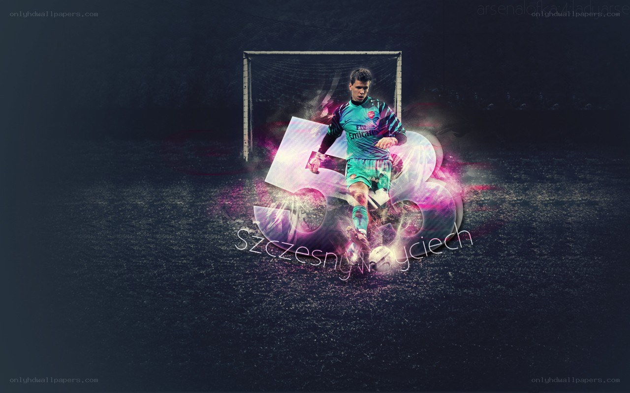 Arsenal goalkeeper artwork