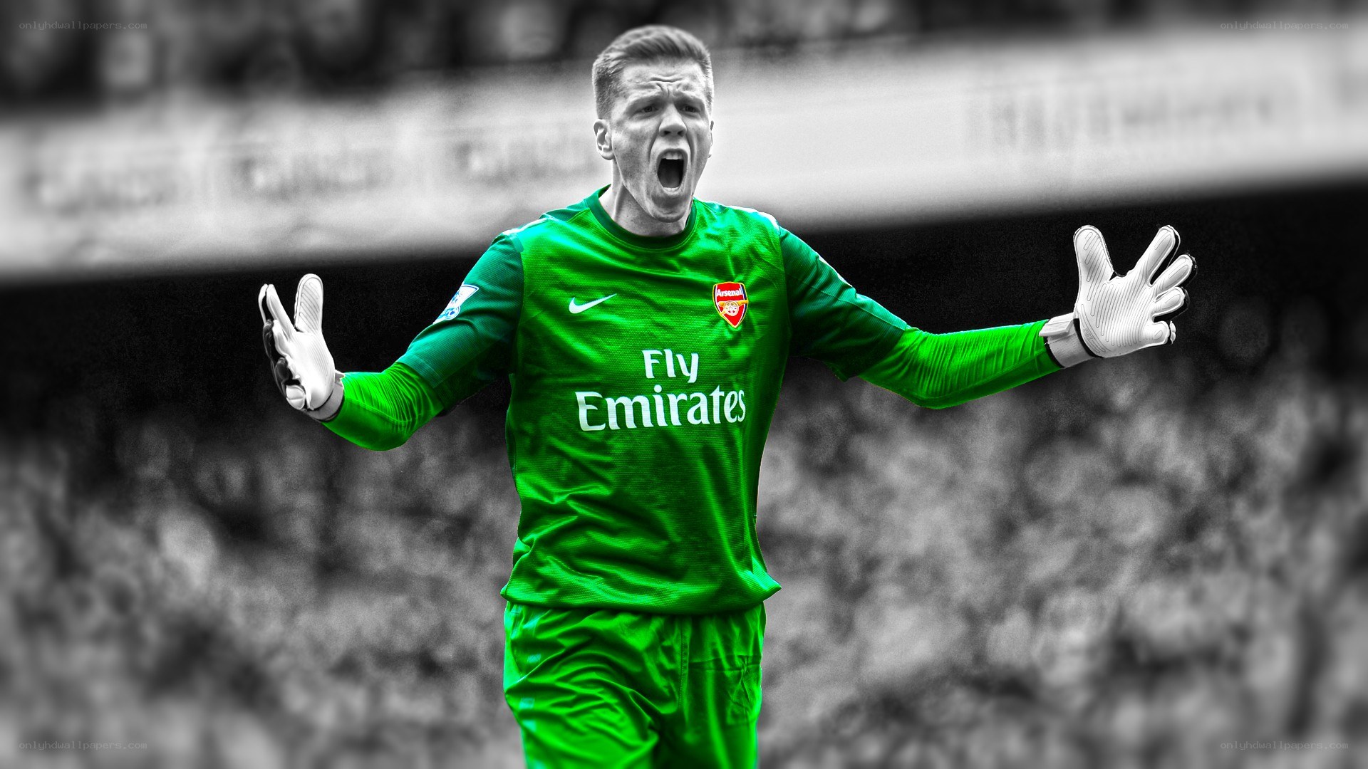 Arsenal goalkeeper celebrating