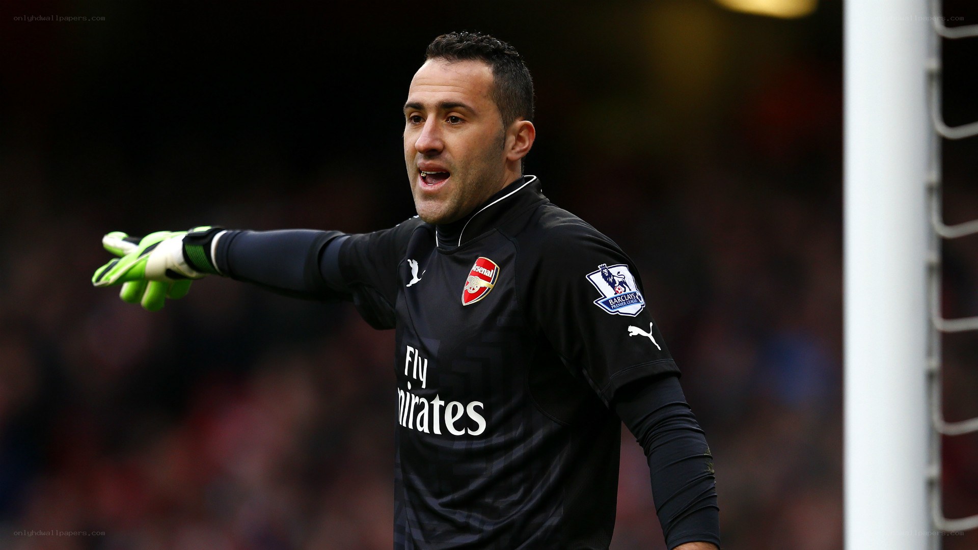 Arsenal goalkeeper directing play