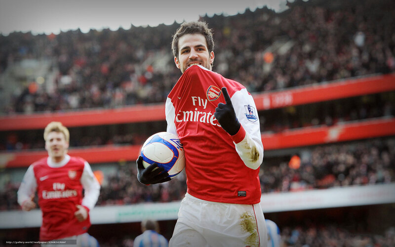 Arsenal player celebrates goal
