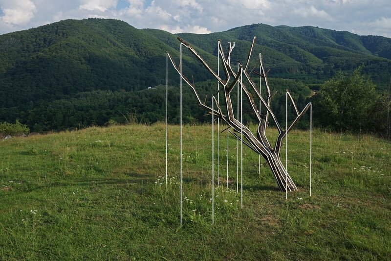 Art Installation in Field