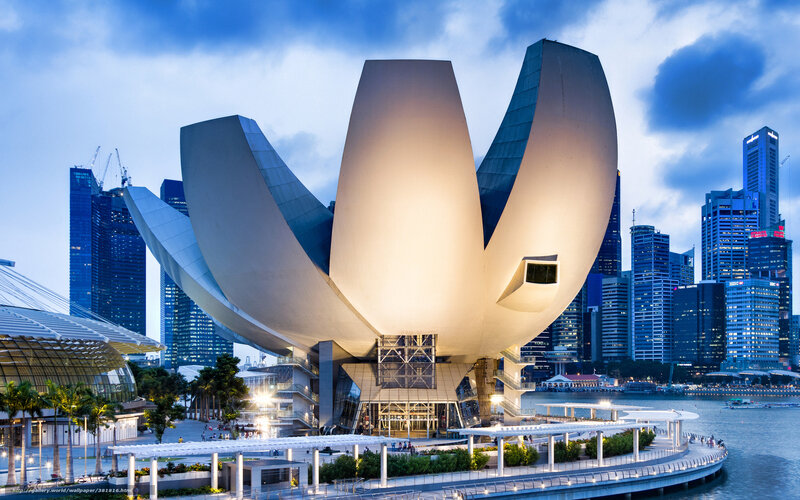 Art Science Museum