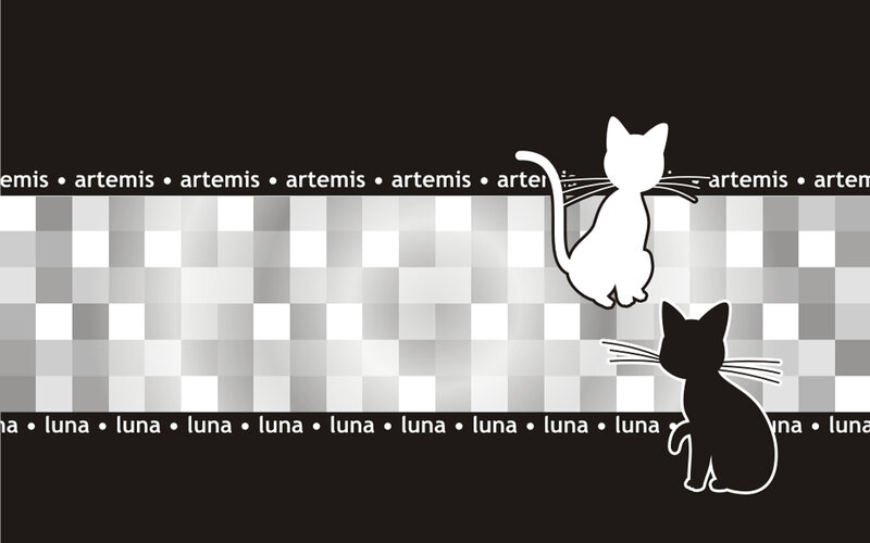 Artemis and Luna cats